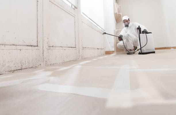 24/7 Emergency Mold Removal experts in Feasterville Trevose, PA